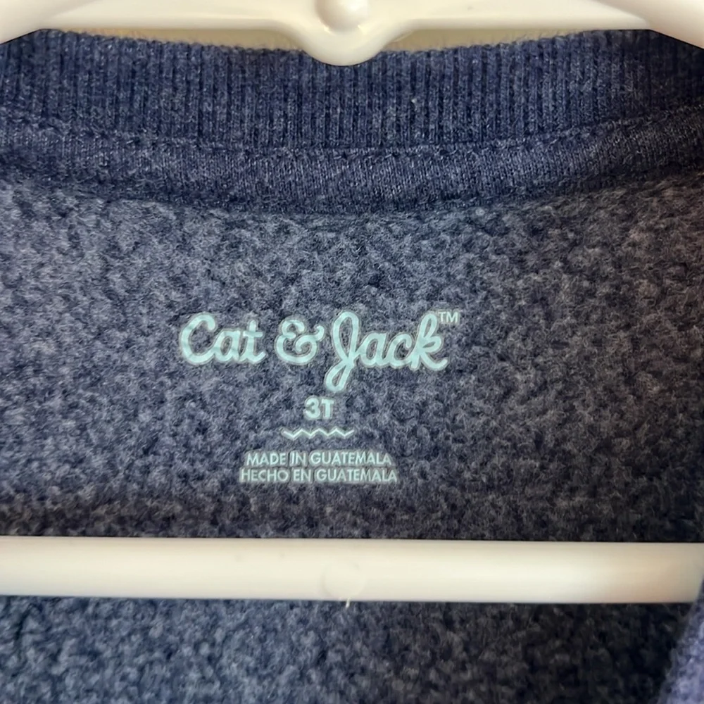 LOT! 3T Sweater and Sweatshirts!